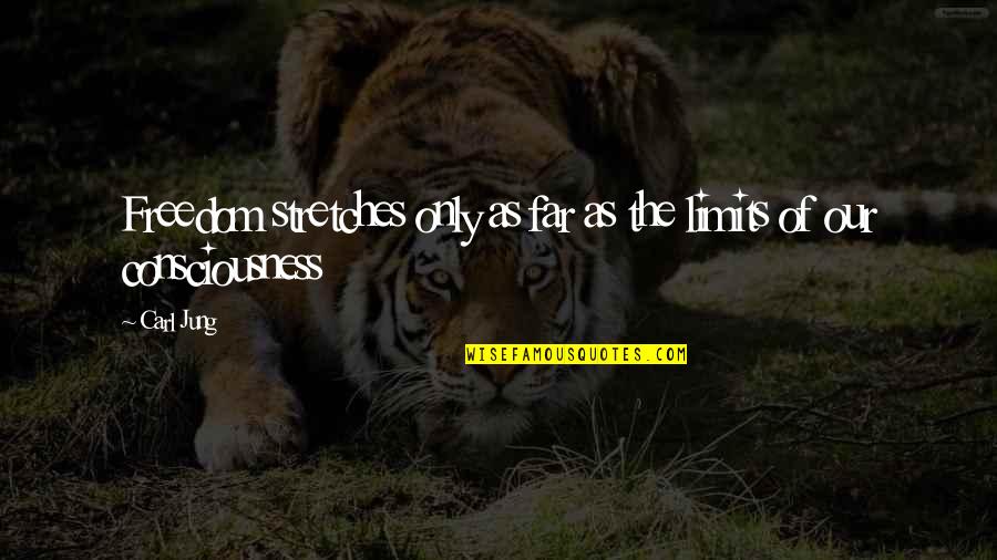 Hitler Majority Quotes By Carl Jung: Freedom stretches only as far as the limits