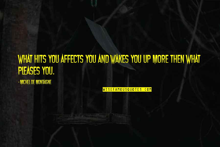 Hits Quotes By Michel De Montaigne: What hits you affects you and wakes you