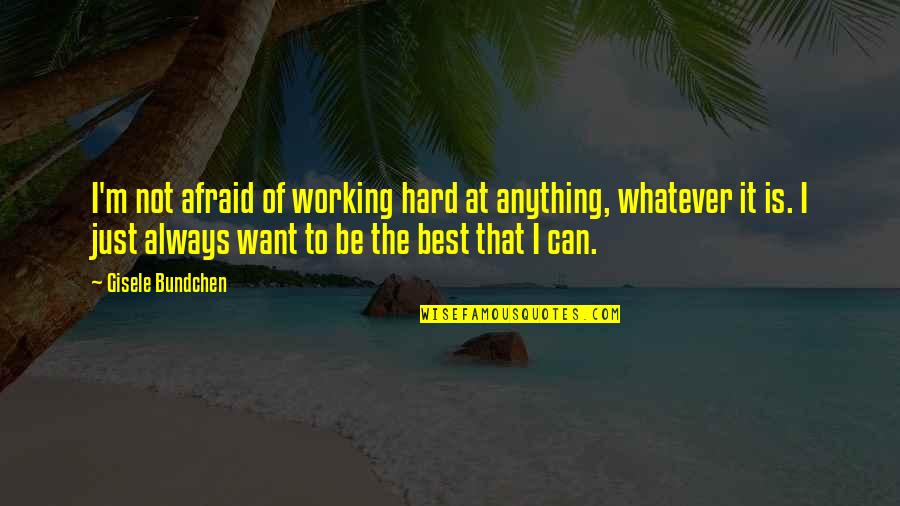 Hittarp Quotes By Gisele Bundchen: I'm not afraid of working hard at anything, Hittarp Quotes By Gisele Bundchen: I'm not afraid of working hard at anything,