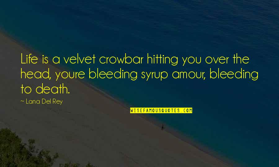 Hitting Your Head Quotes By Lana Del Rey: Life is a velvet crowbar hitting you over
