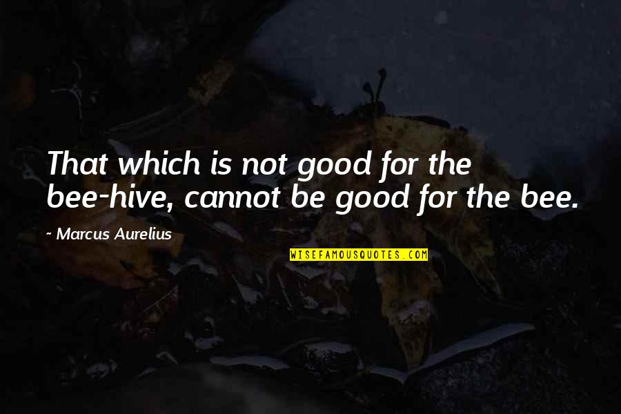Hive Quotes By Marcus Aurelius: That which is not good for the bee-hive,