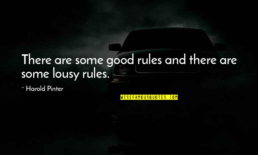 Hives In Adults Quotes By Harold Pinter: There are some good rules and there are