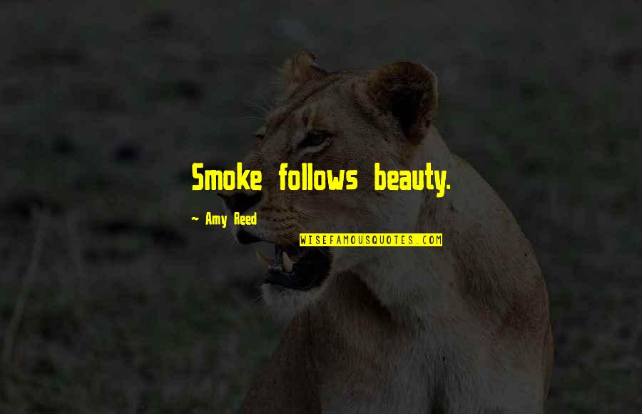 Hiwatashi Yui Quotes By Amy Reed: Smoke follows beauty. Hiwatashi Yui Quotes By Amy Reed: Smoke follows beauty.