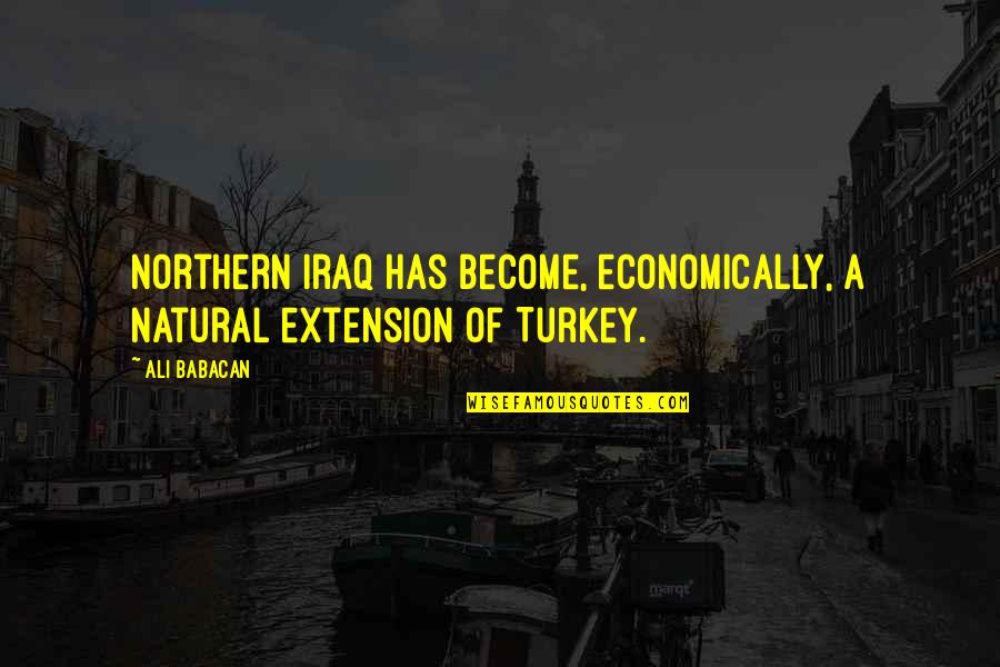 Hiyori Asahina Quotes By Ali Babacan: Northern Iraq has become, economically, a natural extension