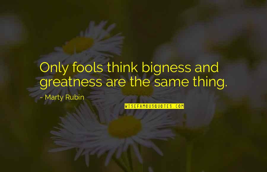 Hizkiya In Telugu Quotes By Marty Rubin: Only fools think bigness and greatness are the
