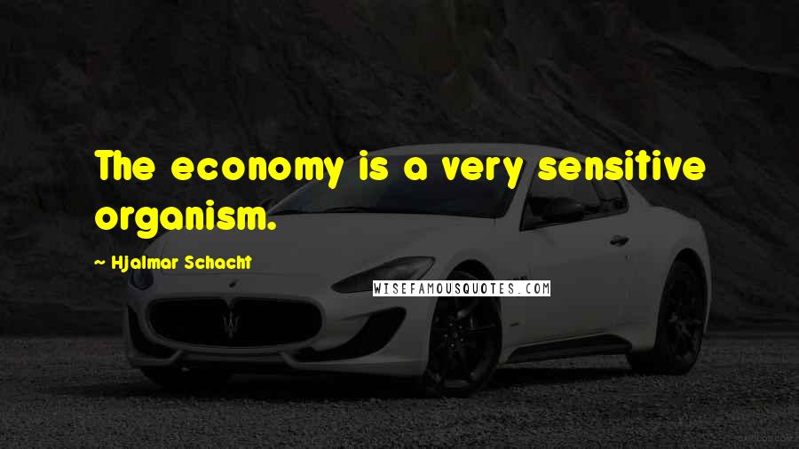 Hjalmar Schacht quotes: The economy is a very sensitive organism.