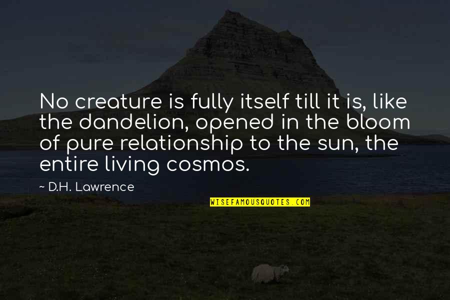 Hjellegjerde Chairs Quotes By D.H. Lawrence: No creature is fully itself till it is,