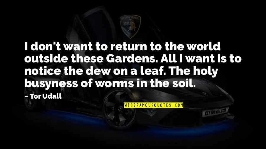 Hlad Laserpitium Halleri Quotes By Tor Udall: I don't want to return to the world Hlad Laserpitium Halleri Quotes By Tor Udall: I don't want to return to the world