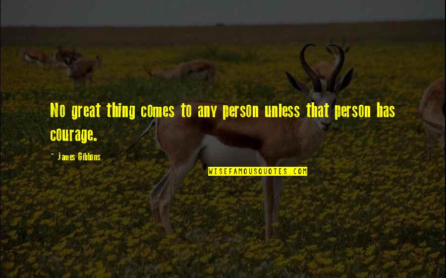 Hlubocepsk Z Mecek Quotes By James Gibbons: No great thing comes to any person unless