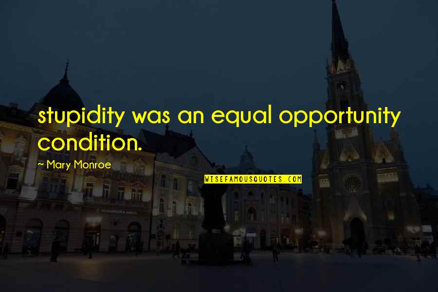 Hluk Fyzika Quotes By Mary Monroe: stupidity was an equal opportunity condition.
