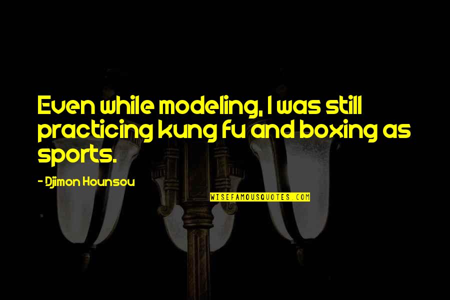 Hnausar Quotes By Djimon Hounsou: Even while modeling, I was still practicing kung