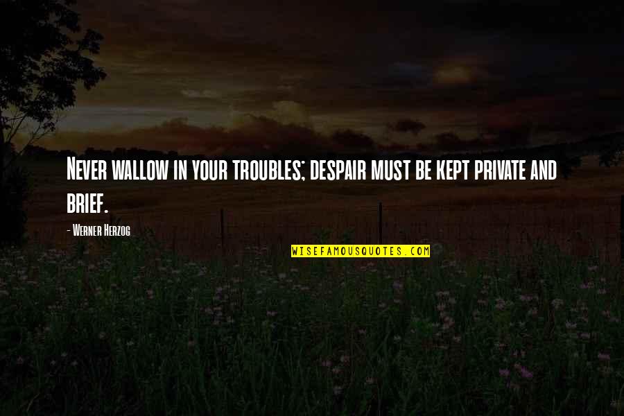 Hobbit An Unexpected Journey Thorin Quotes By Werner Herzog: Never wallow in your troubles; despair must be