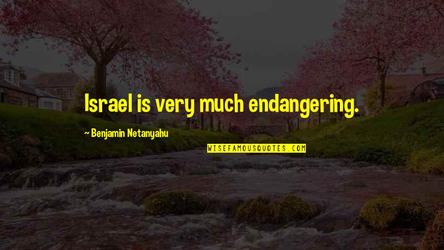 Hobbit Love Quotes By Benjamin Netanyahu: Israel is very much endangering.