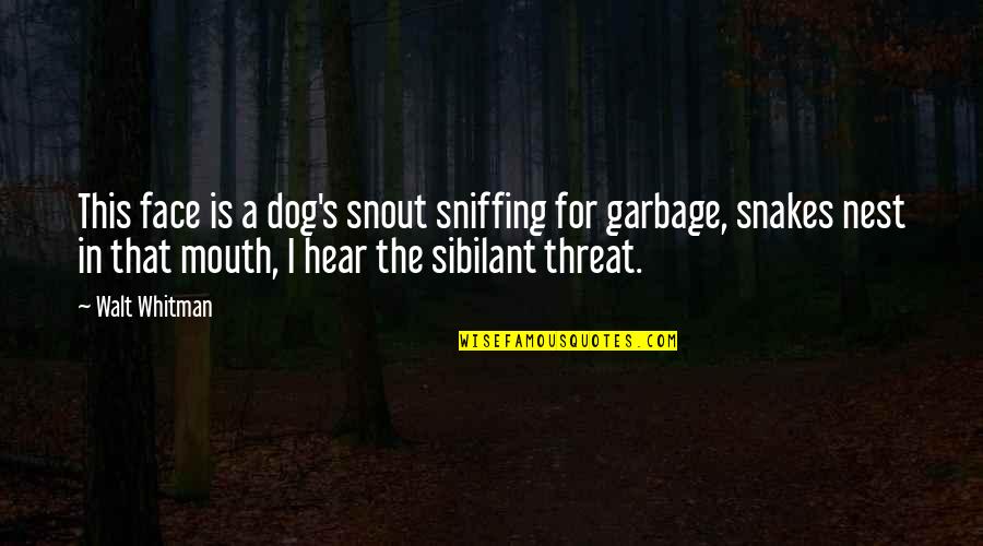 Hobbledehoy Quotes By Walt Whitman: This face is a dog's snout sniffing for
