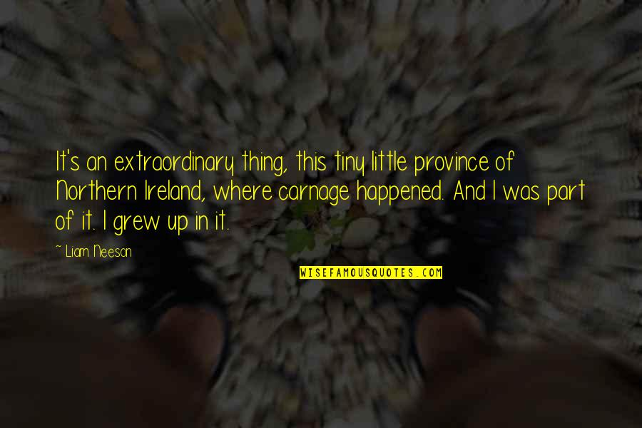 Hobbling Crossword Quotes By Liam Neeson: It's an extraordinary thing, this tiny little province