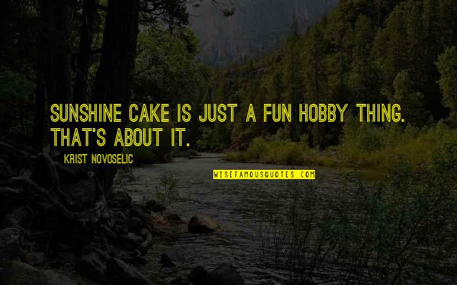 Hobby's Quotes By Krist Novoselic: Sunshine Cake is just a fun hobby thing.