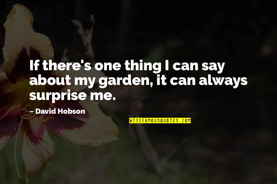 Hobson's Quotes By David Hobson: If there's one thing I can say about