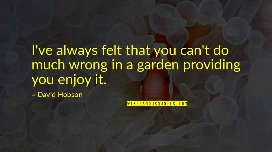 Hobson's Quotes By David Hobson: I've always felt that you can't do much