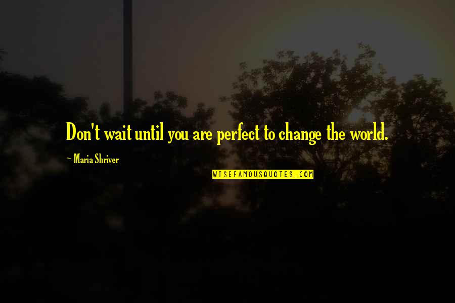 Hoces Hoces Quotes By Maria Shriver: Don't wait until you are perfect to change Hoces Hoces Quotes By Maria Shriver: Don't wait until you are perfect to change