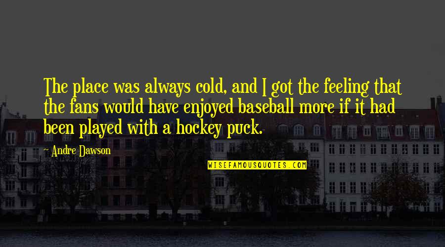 Hockey Fans Quotes By Andre Dawson: The place was always cold, and I got