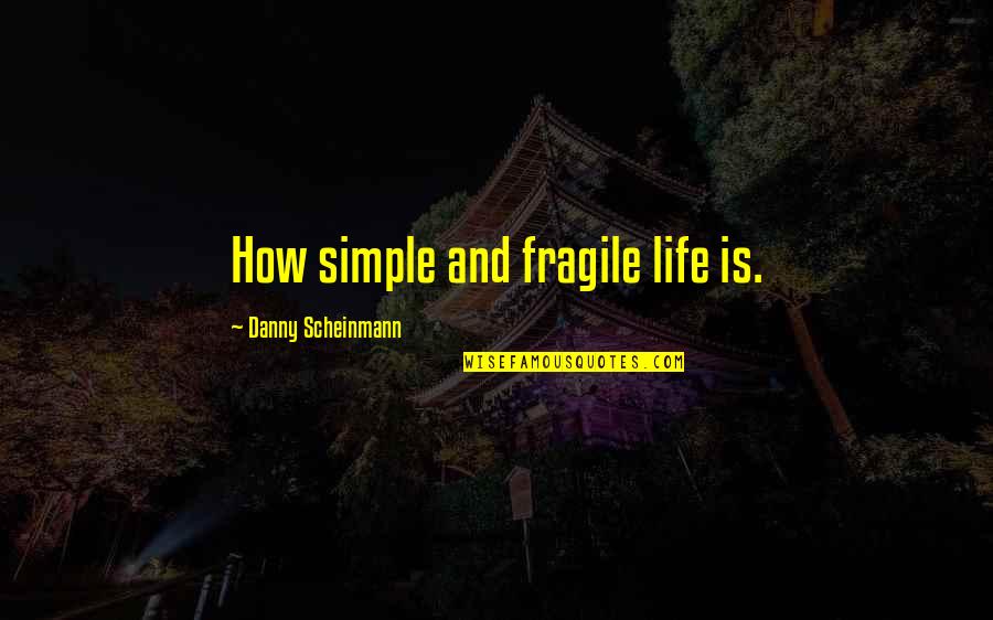 Hockey Hitting Quotes By Danny Scheinmann: How simple and fragile life is.