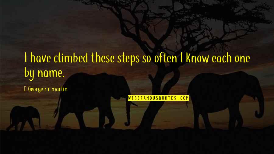 Hodaomath Quotes By George R R Martin: I have climbed these steps so often I