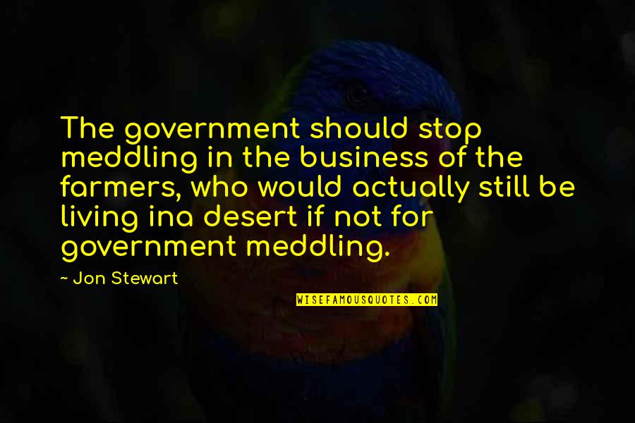 Hodgeyboy Quotes By Jon Stewart: The government should stop meddling in the business