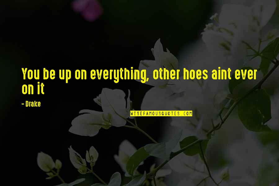 Hoe Quotes By Drake: You be up on everything, other hoes aint