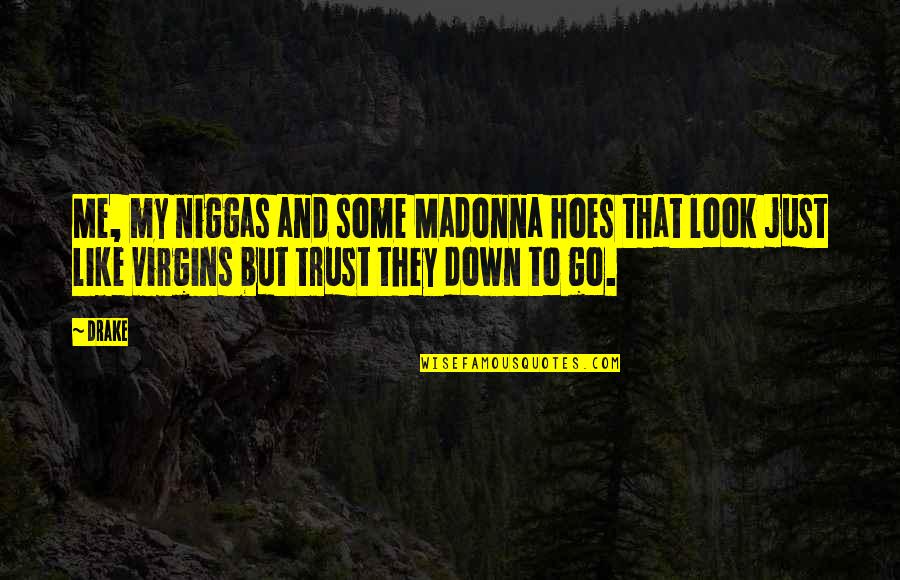 Hoe Quotes By Drake: Me, my niggas and some Madonna hoes that