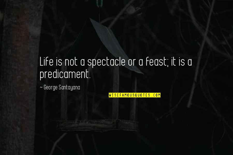 Hoeppner Handyman Quotes By George Santayana: Life is not a spectacle or a feast; Hoeppner Handyman Quotes By George Santayana: Life is not a spectacle or a feast;