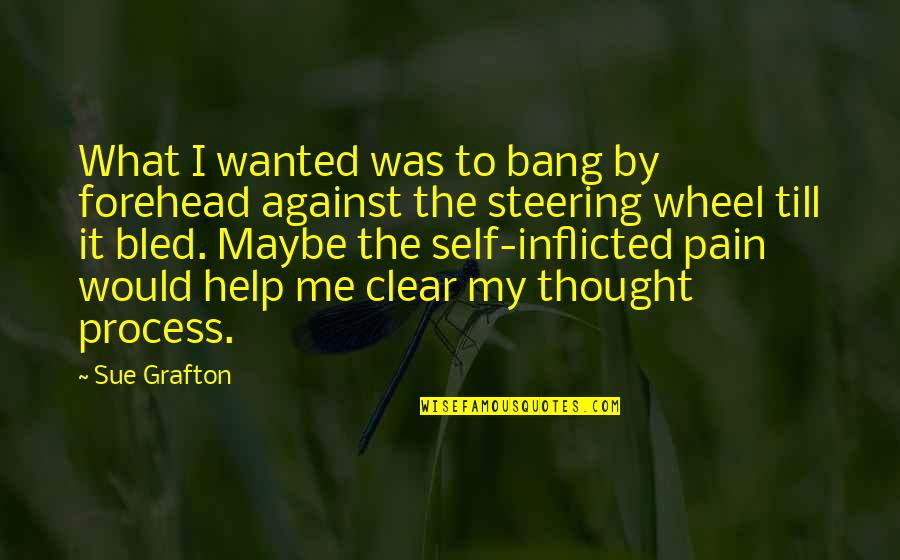Hoeveelheid Aardappelen Quotes By Sue Grafton: What I wanted was to bang by forehead