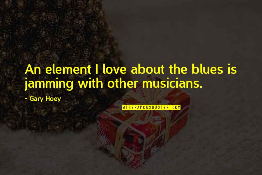 Hoey Quotes By Gary Hoey: An element I love about the blues is