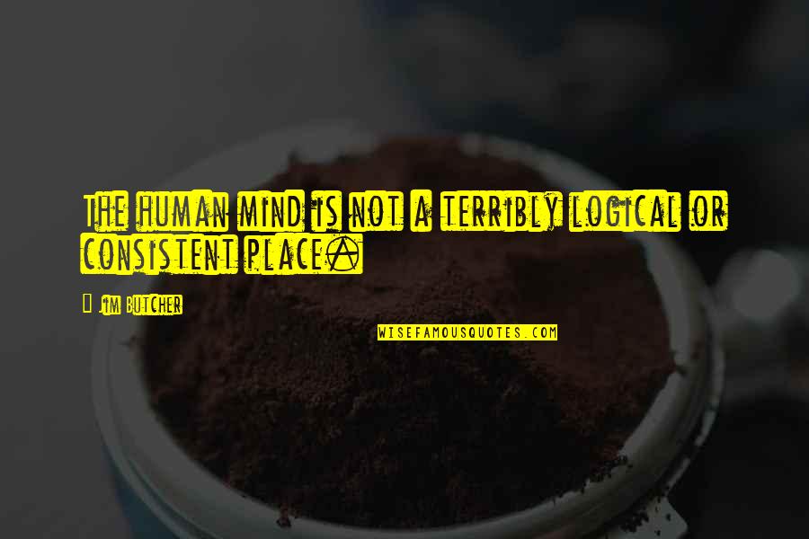 Hofacker Hvac Quotes By Jim Butcher: The human mind is not a terribly logical