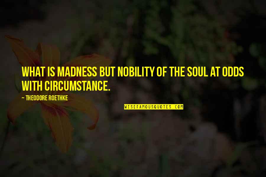 Hoffler Smith Quotes By Theodore Roethke: What is madness but nobility of the soul