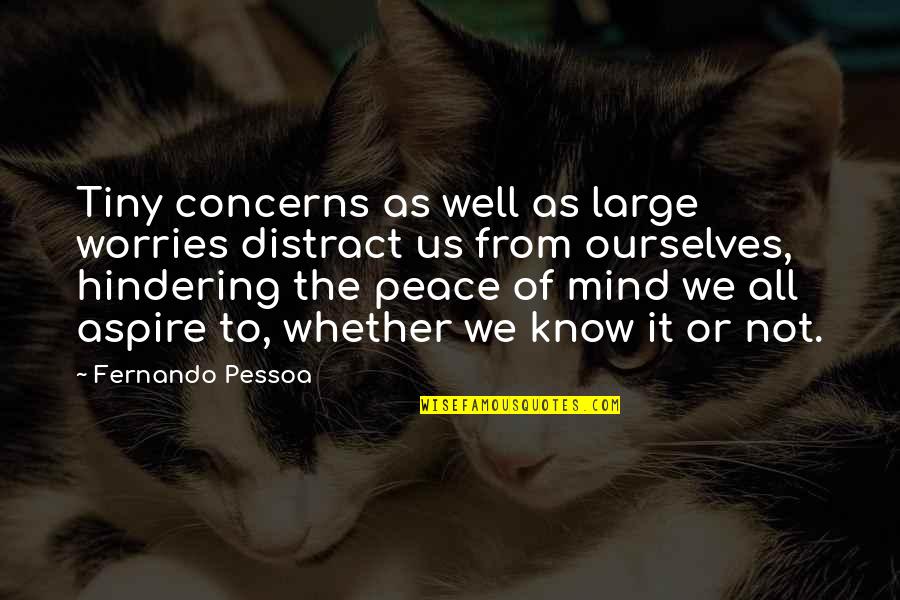 Hoffmann Reflex Quotes By Fernando Pessoa: Tiny concerns as well as large worries distract
