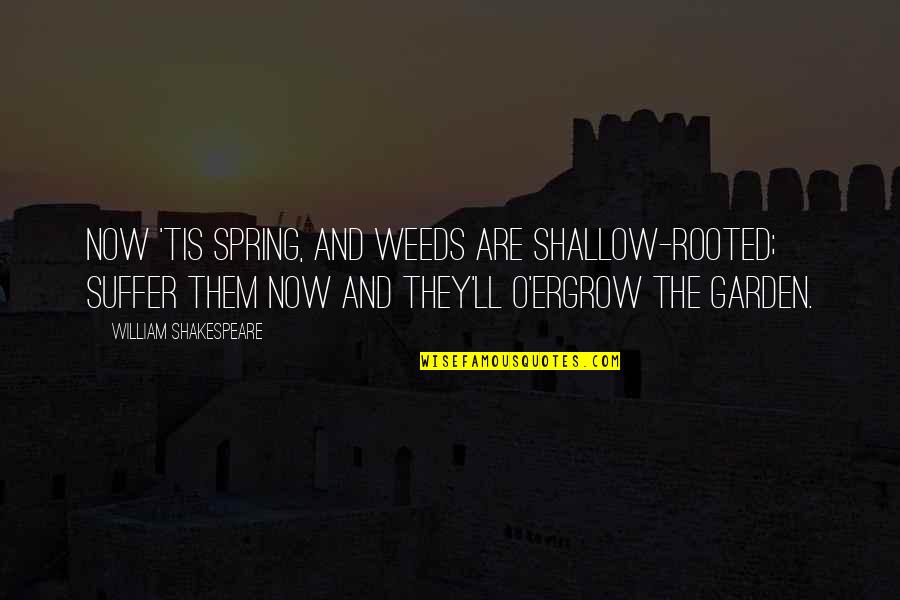 Hofmann Alignment Quotes By William Shakespeare: Now 'tis spring, and weeds are shallow-rooted; Suffer Hofmann Alignment Quotes By William Shakespeare: Now 'tis spring, and weeds are shallow-rooted; Suffer