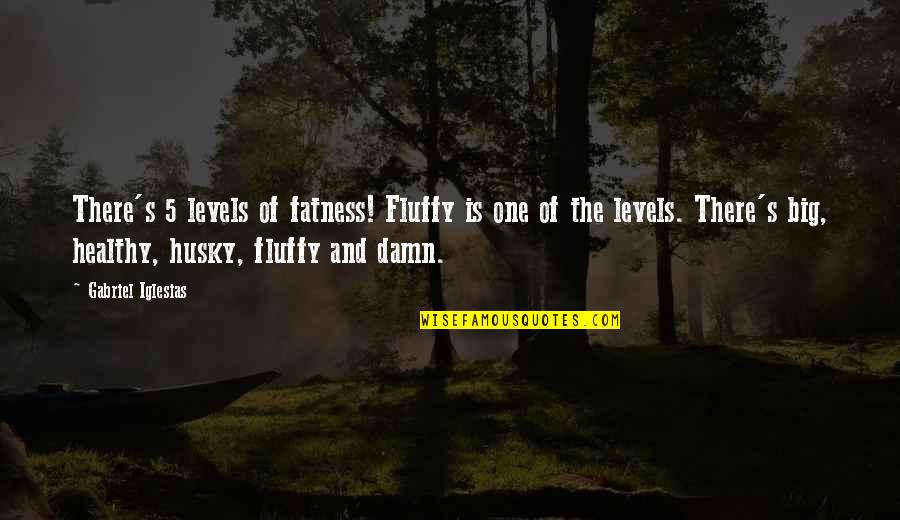 Hofstadter Insufficiency Quotes By Gabriel Iglesias: There's 5 levels of fatness! Fluffy is one Hofstadter Insufficiency Quotes By Gabriel Iglesias: There's 5 levels of fatness! Fluffy is one