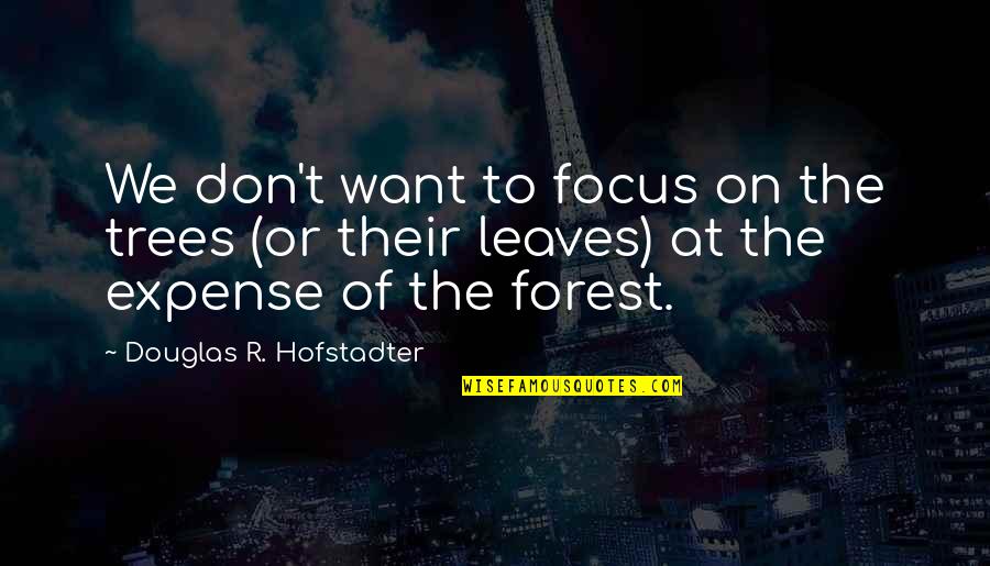 Hofstadter Quotes By Douglas R. Hofstadter: We don't want to focus on the trees Hofstadter Quotes By Douglas R. Hofstadter: We don't want to focus on the trees