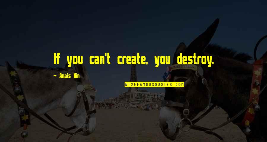 Hoganson Plastic Surgeon Quotes By Anais Nin: If you can't create, you destroy.
