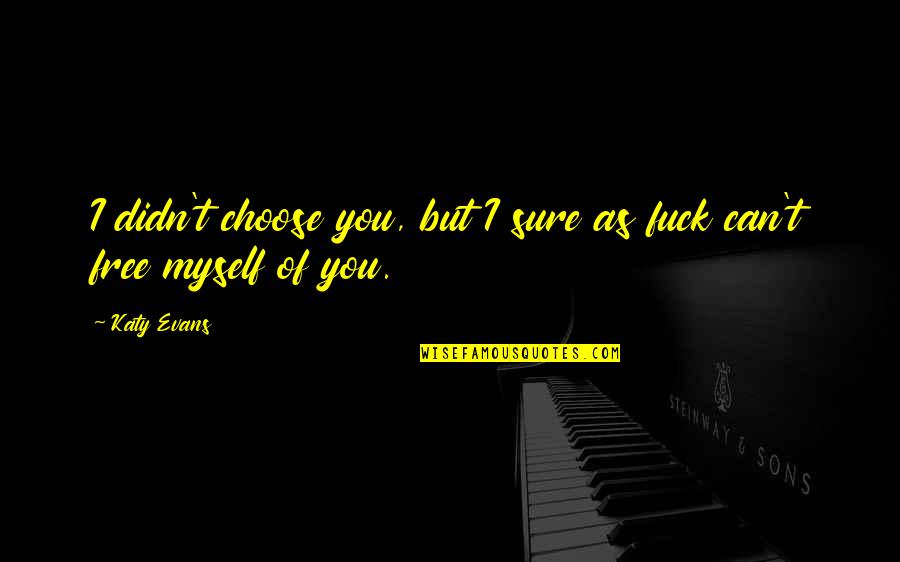 Hogarden Quotes By Katy Evans: I didn't choose you, but I sure as