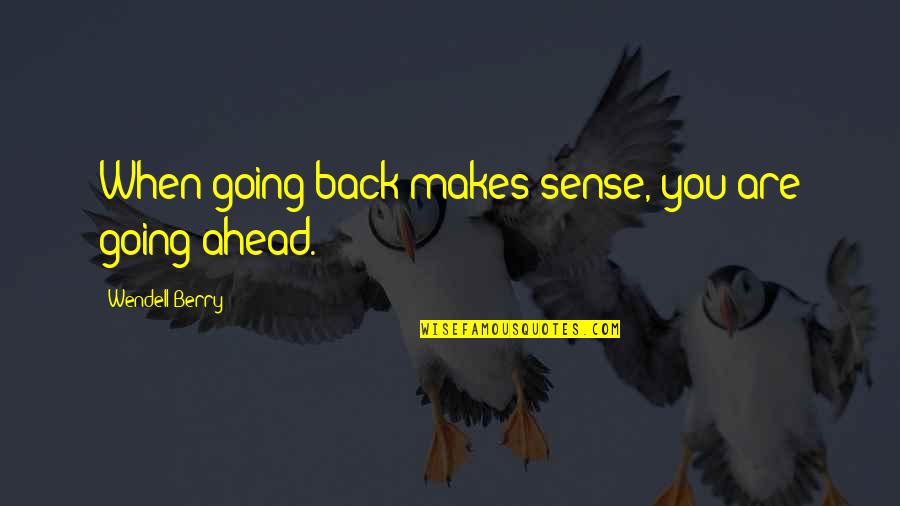 Hogsmead Quotes By Wendell Berry: When going back makes sense, you are going