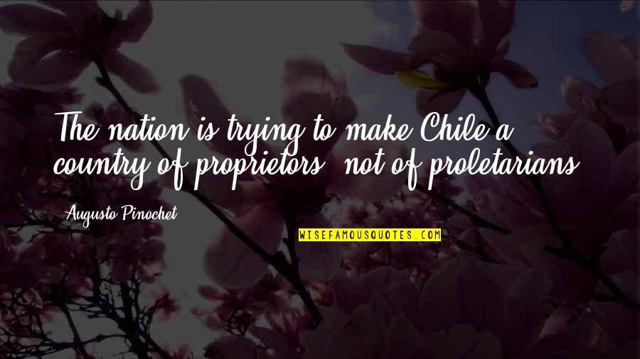 Hogswatch Quotes By Augusto Pinochet: The nation is trying to make Chile a