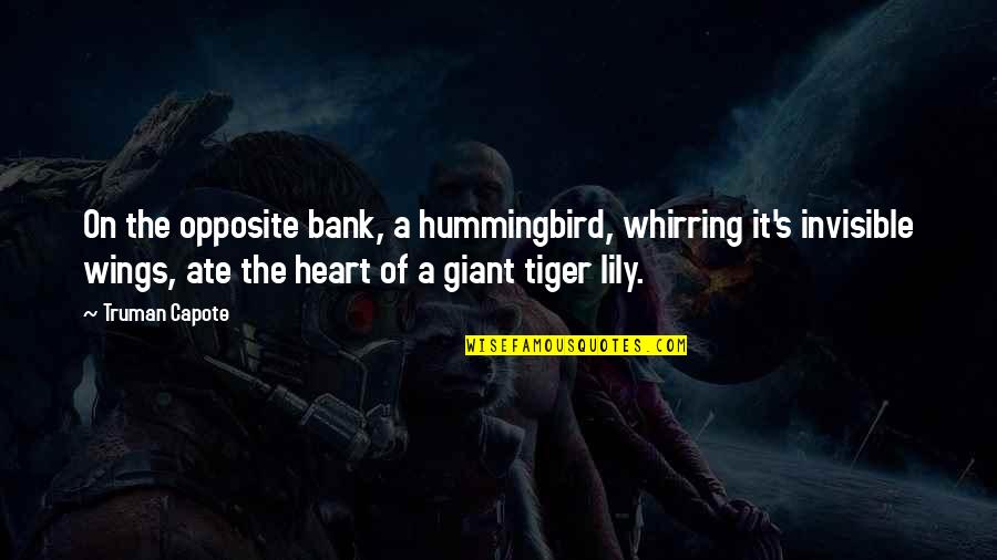 Hoguera Brujas Quotes By Truman Capote: On the opposite bank, a hummingbird, whirring it's Hoguera Brujas Quotes By Truman Capote: On the opposite bank, a hummingbird, whirring it's