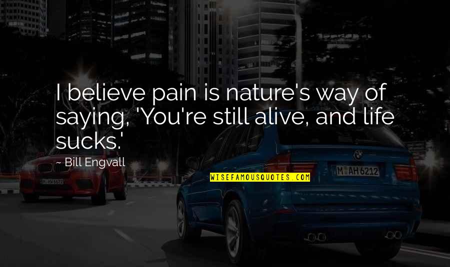 Hohlrieder Hans Quotes By Bill Engvall: I believe pain is nature's way of saying,