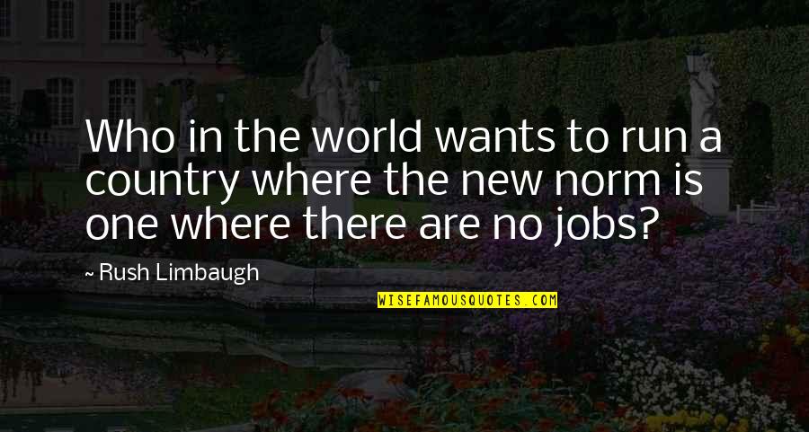 Hoink Quotes By Rush Limbaugh: Who in the world wants to run a