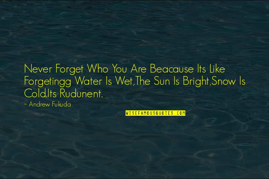 Hojear U Quotes By Andrew Fukuda: Never Forget Who You Are Beacause Its Like