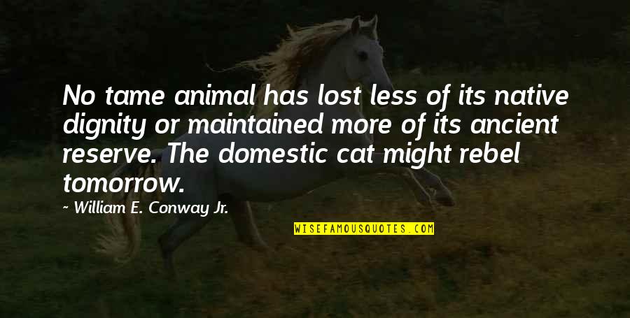 Holcomb's Quotes By William E. Conway Jr.: No tame animal has lost less of its