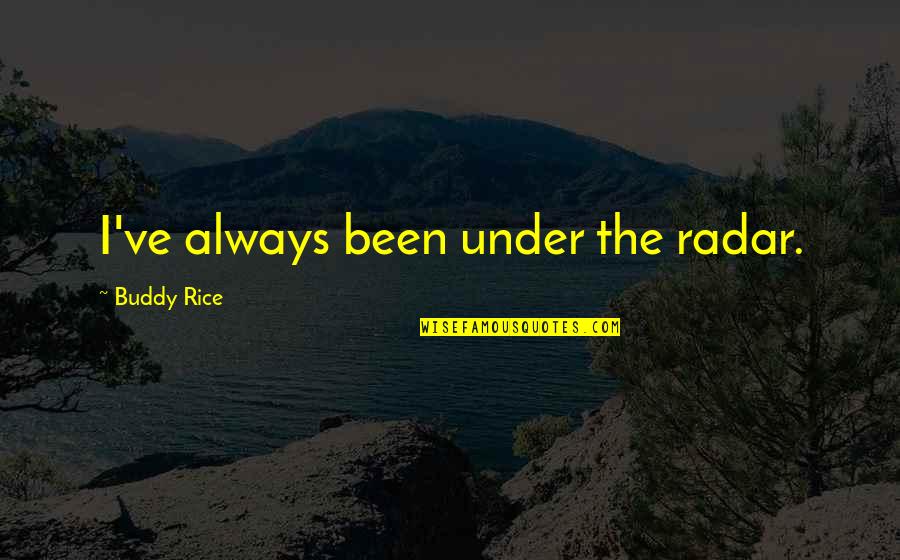 Hold Back The Tears Quotes By Buddy Rice: I've always been under the radar.