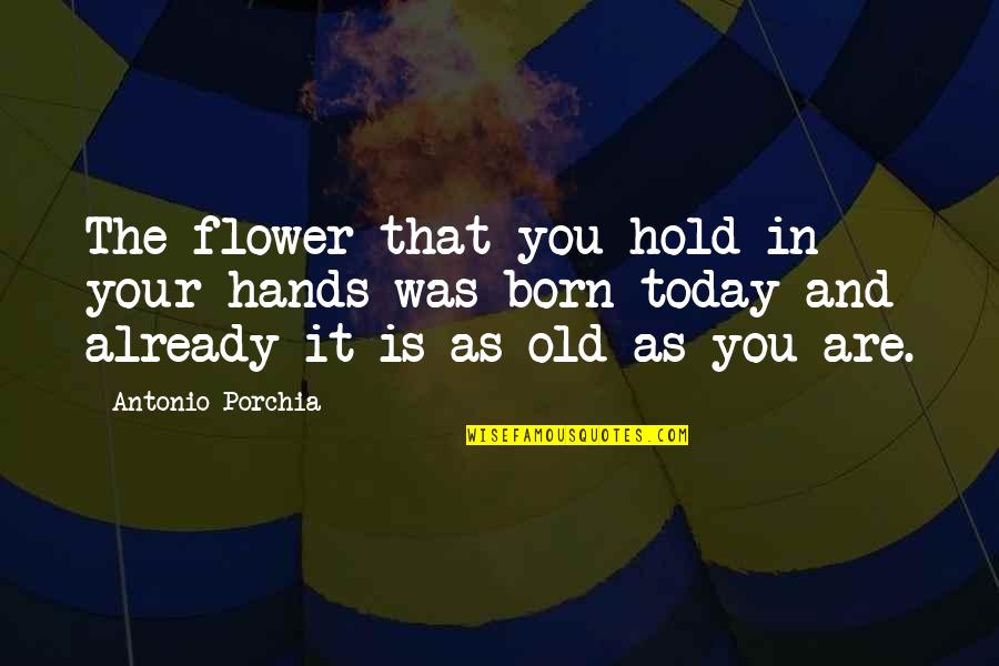Hold Hands Quotes By Antonio Porchia: The flower that you hold in your hands Hold Hands Quotes By Antonio Porchia: The flower that you hold in your hands