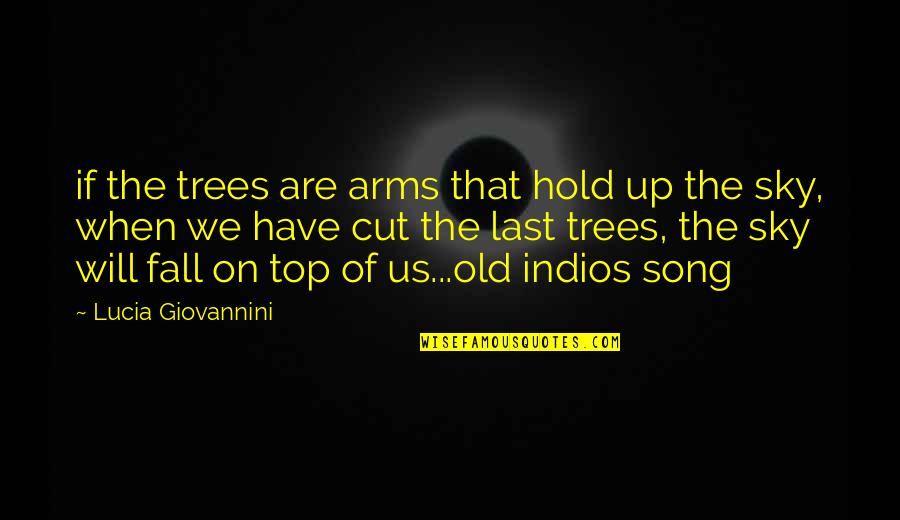 Hold In Your Arms Quotes By Lucia Giovannini: if the trees are arms that hold up
